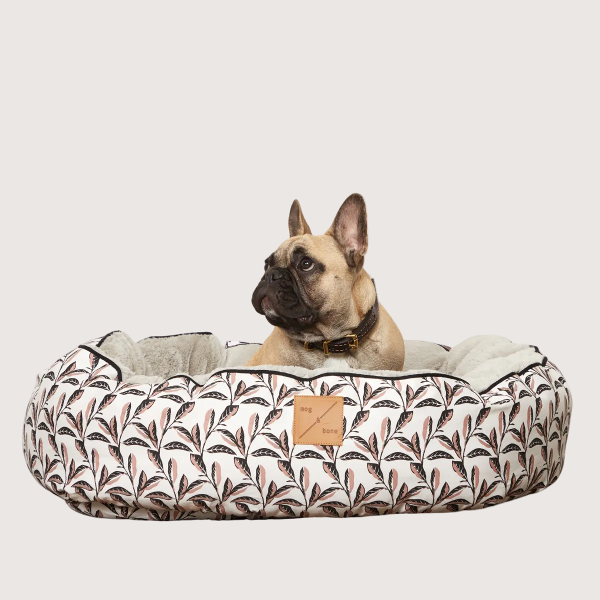 Dog lying on a pink patterned pet bed with a white background