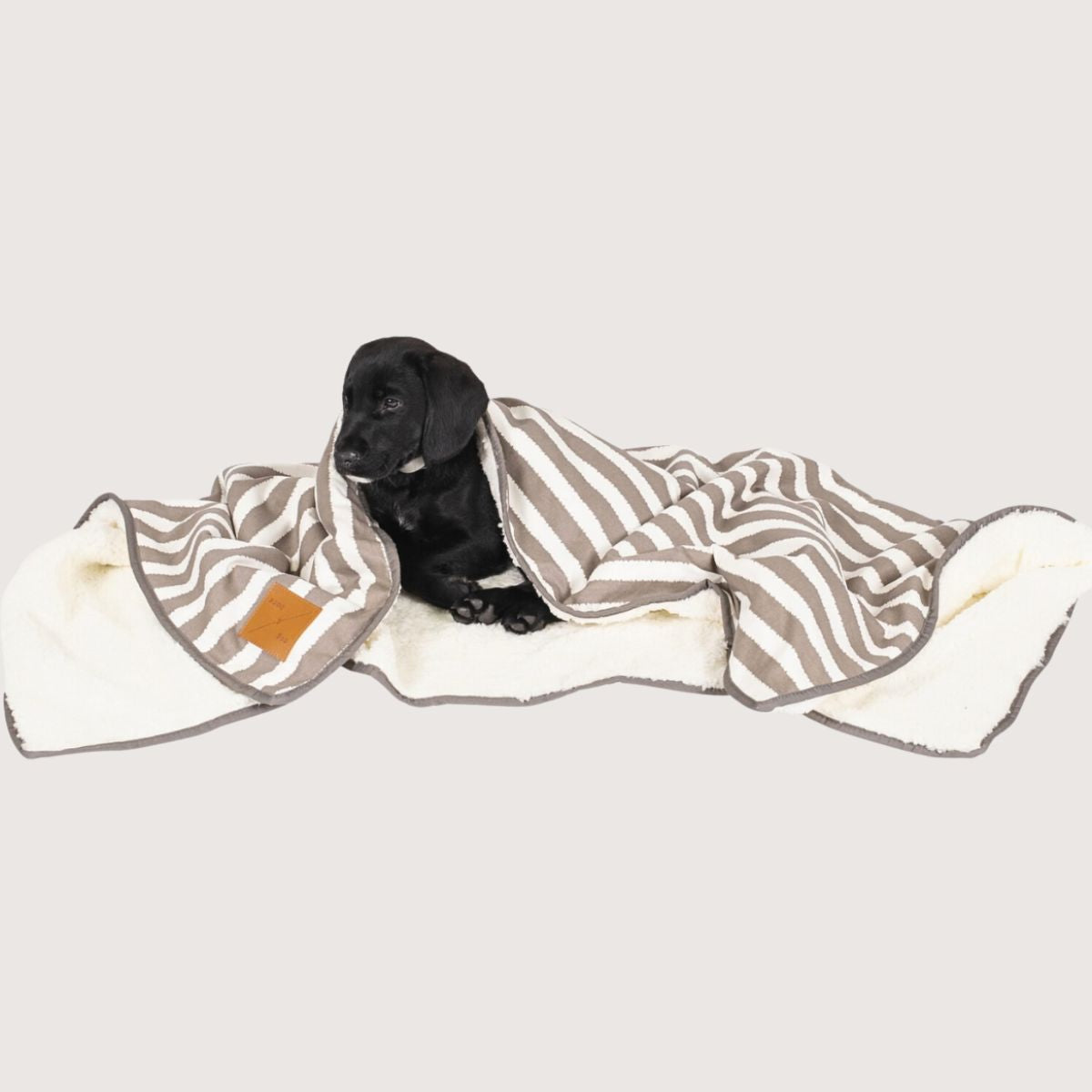 Pet Blanket with Fleece - Latte Hamptons Stripe Print