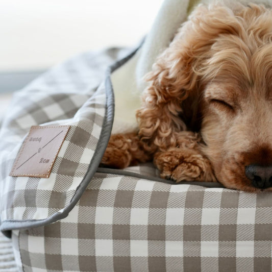 Pet Blanket with Fleece - Mocha Gingham Print