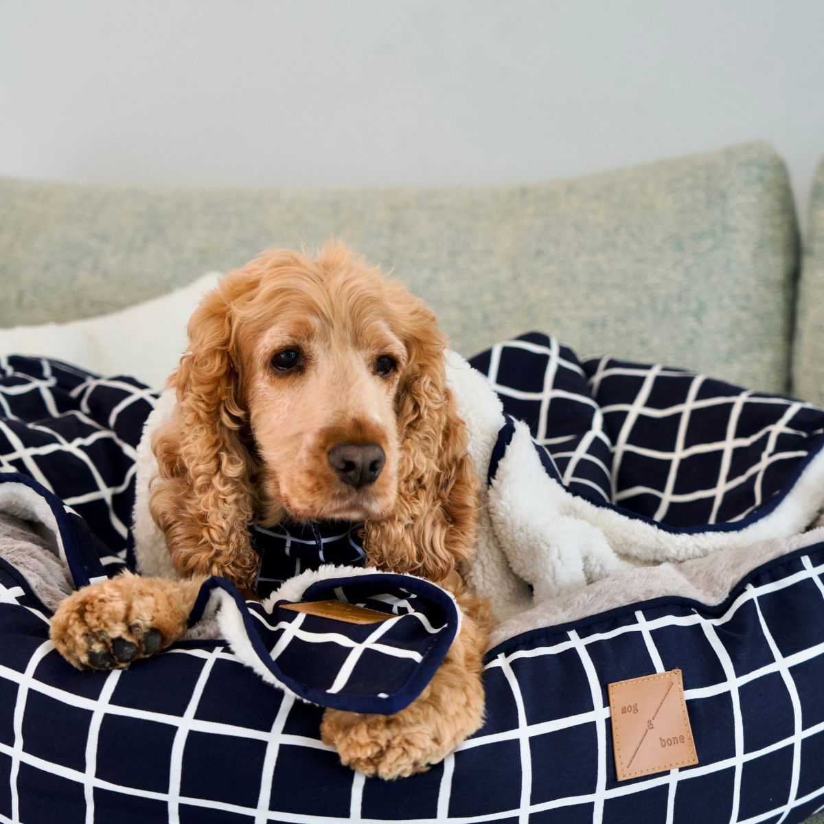 Pet Blanket with Fleece - Navy Check Print
