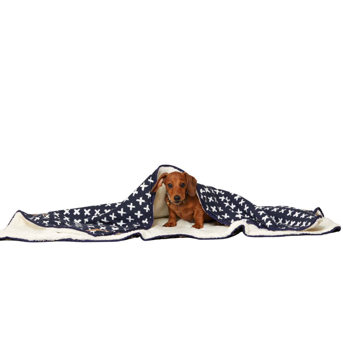Pet Blanket with Fleece - Navy Cross Print