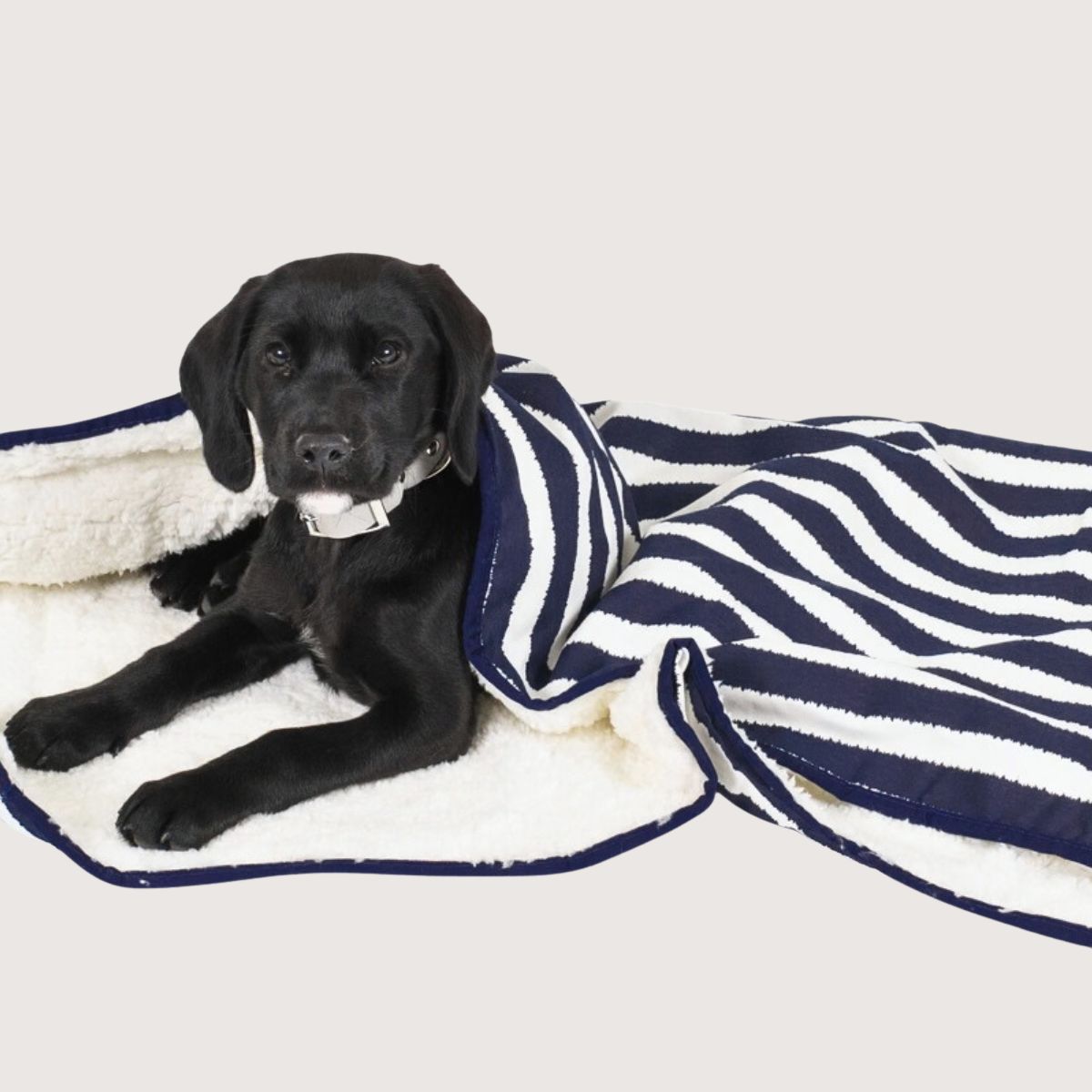 Pet Blanket with Fleece - Navy Hamptons Stripe Print