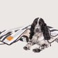 Dog lying on a patterned blanket with a white background