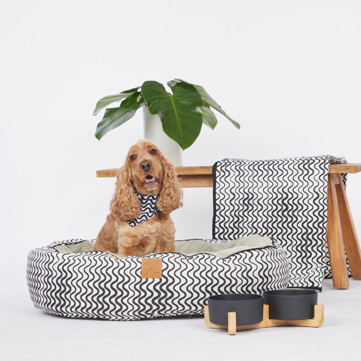 Bamboo Dog Bowls - Double with Stand - Black