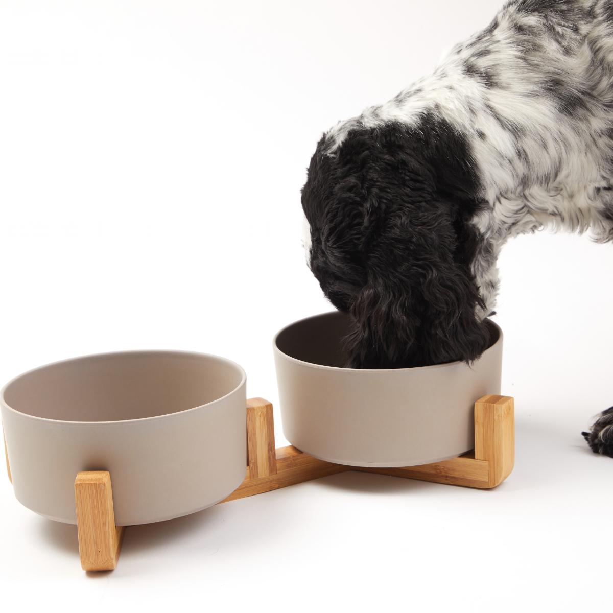 Dog eating from a bamboo pet bowl set on a white background