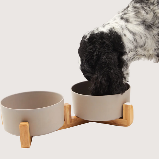 Dog eating from a bamboo pet bowl set on a white background