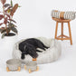 Bamboo Dog Bowl - Single with Stand - Mocha