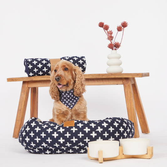 Bamboo Dog Bowls - Double with Stand - Natural
