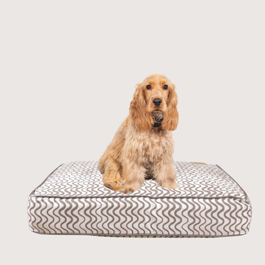 Cushion Dog Bed - Mocha Wave Print