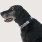 Hemp Dog Collar - Black Wave Print