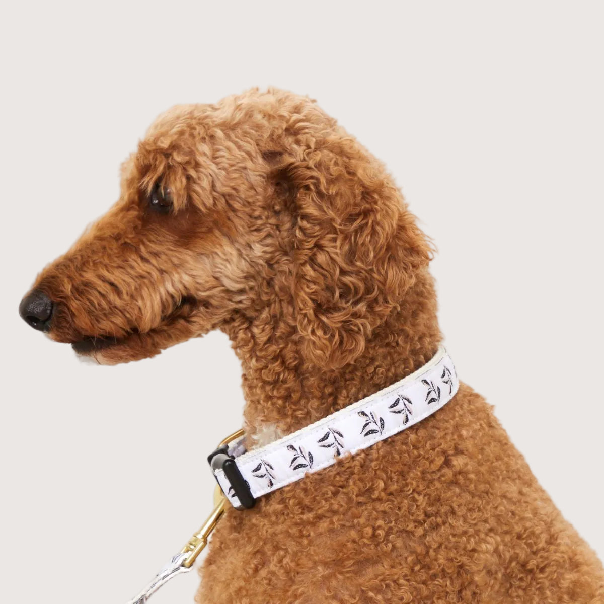 Hemp Dog Collar - Shadow Quartz Print