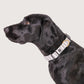 Hemp Dog Collar - Latte Mosaic Print