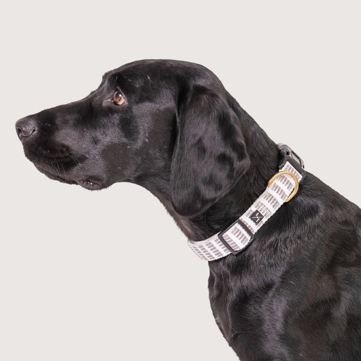 Hemp Dog Collar - Latte Mosaic Print