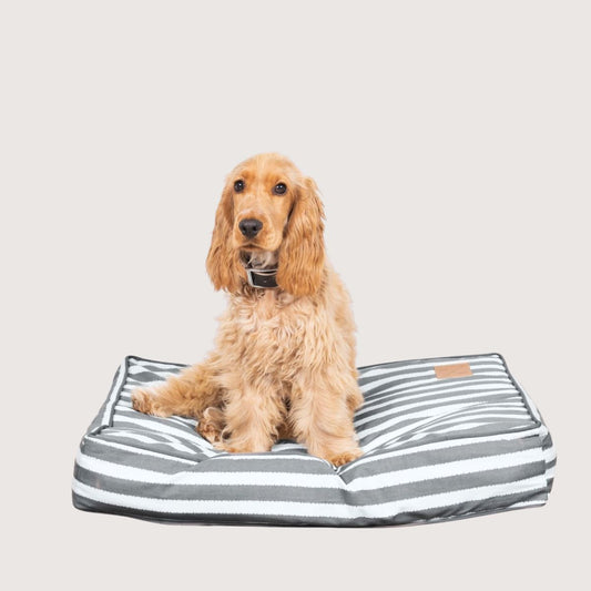 Cushion Dog Bed - Charcoal Hampton Stripe Print