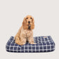 Dog sitting on a navy blue grid-patterned dog bed with a white background