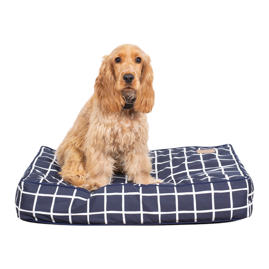 Dog sitting on a navy blue grid-patterned dog bed with a white background