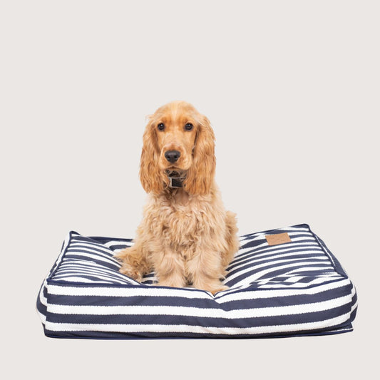 Cushion Dog Bed - Navy Hamptons Stripe Print