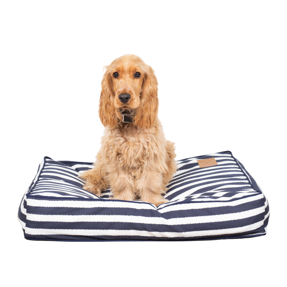 Cushion Dog Bed - Navy Hamptons Stripe