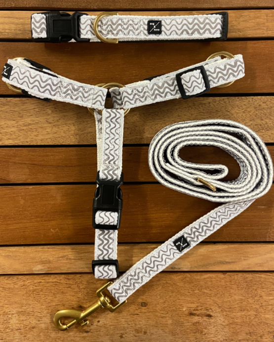 Dog collar, harness, and leash with zigzag pattern on a wooden surface