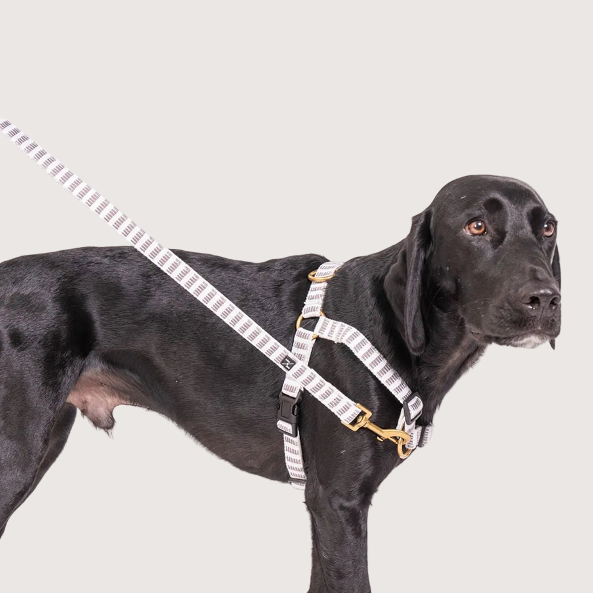 Hemp Dog Harness - Latte Mosaic Print