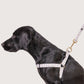 Hemp Dog Harness - Latte Mosaic Print