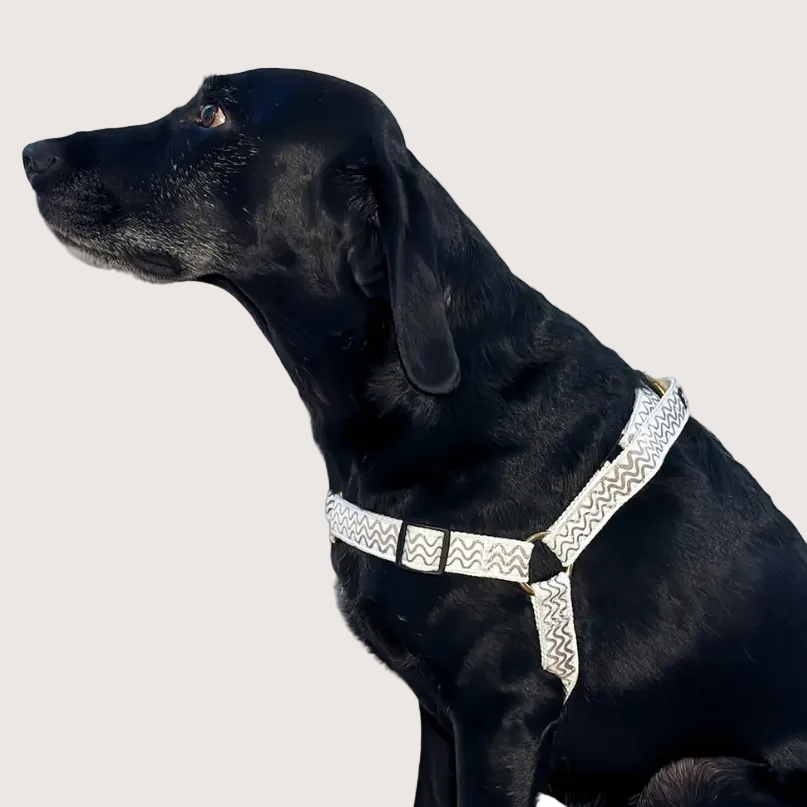 Hemp Dog Harness - Mocha Wave Print