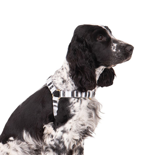 Hemp Dog Harness - Pebble Black Brush Stroke Print