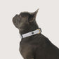 Hemp Dog Collar - Mocha Wave Print