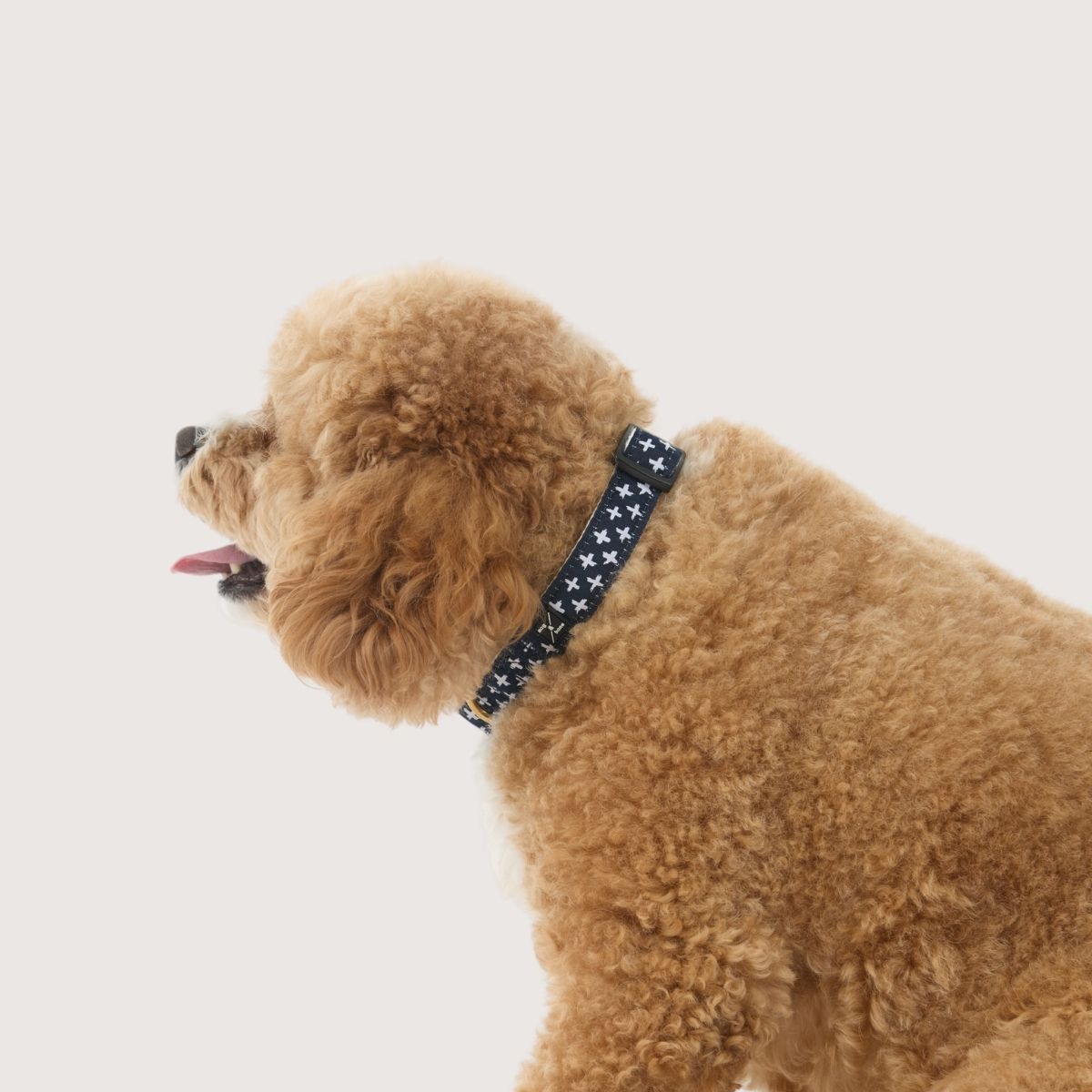 Hemp Dog Collar - Navy Cross Print