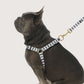 Hemp Dog Harness - Charcoal Hamptons Stripe Print