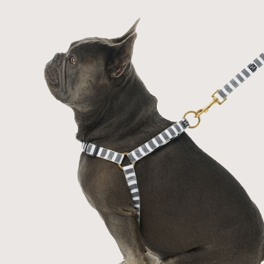 Hemp Dog Harness - Charcoal Hamptons Stripe Print
