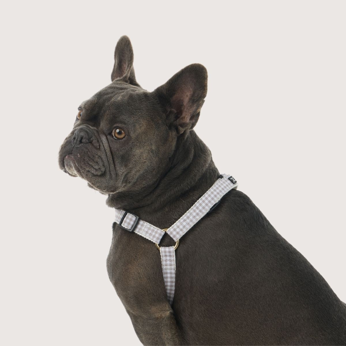Harnesses