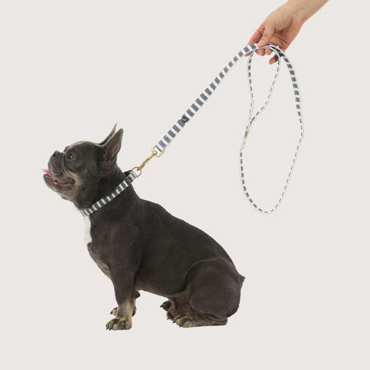 Hemp Dog Lead - Charcoal Hamptons Stripe Print