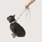 Hemp Dog Lead - Mocha Wave Print