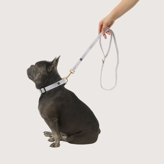 Hemp Dog Lead - Mocha Wave Print