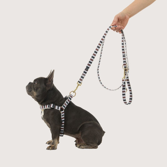Hemp Dog Lead - Multi Function with Leather & Brass Fittings - Black/ Cocoa Artisan Print