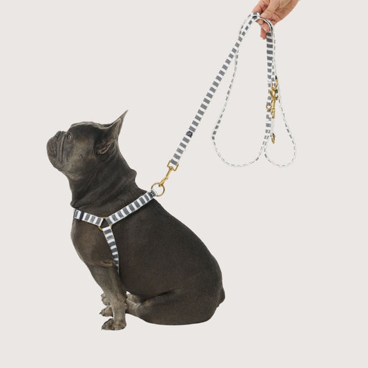 Hemp Dog Lead - Multi Function with Leather and Brass Fittings  - Charcoal Hamptons Stripe Print