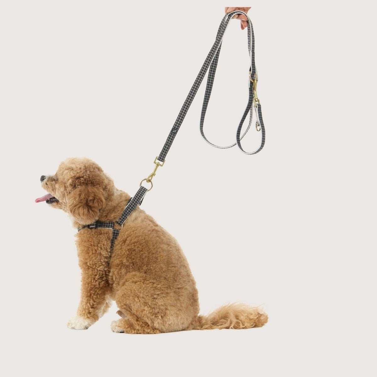 Hemp Dog Lead - Multi Function