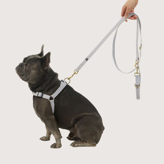 Hemp Dog Lead - Multi Function with Leather & Brass Fittings - Mocha Gingham Print