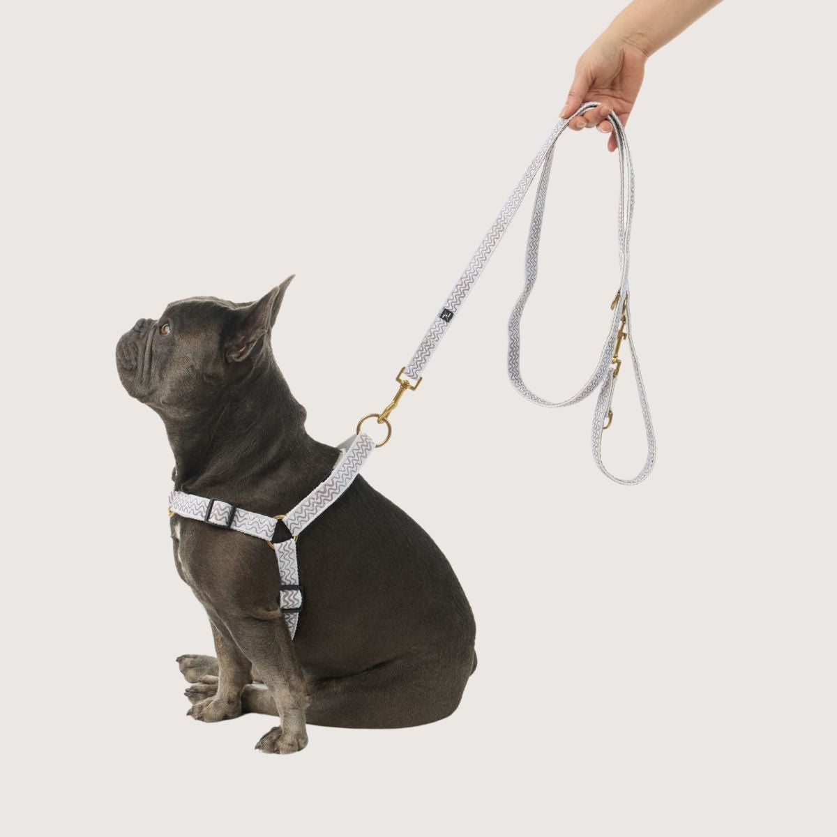 Hemp Dog Lead - Multi Function with Leather & Brass Fittings  - Mocha Wave Print