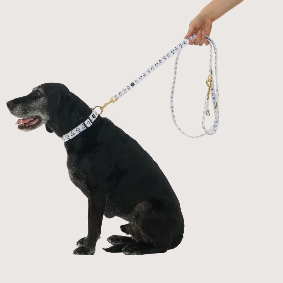Hemp Dog Lead - Multi Function with Leather & Brass Fittings -  Shadow Quartz Print