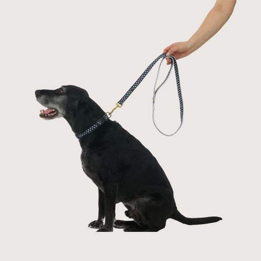 Hemp Dog Lead - Navy Cross Print