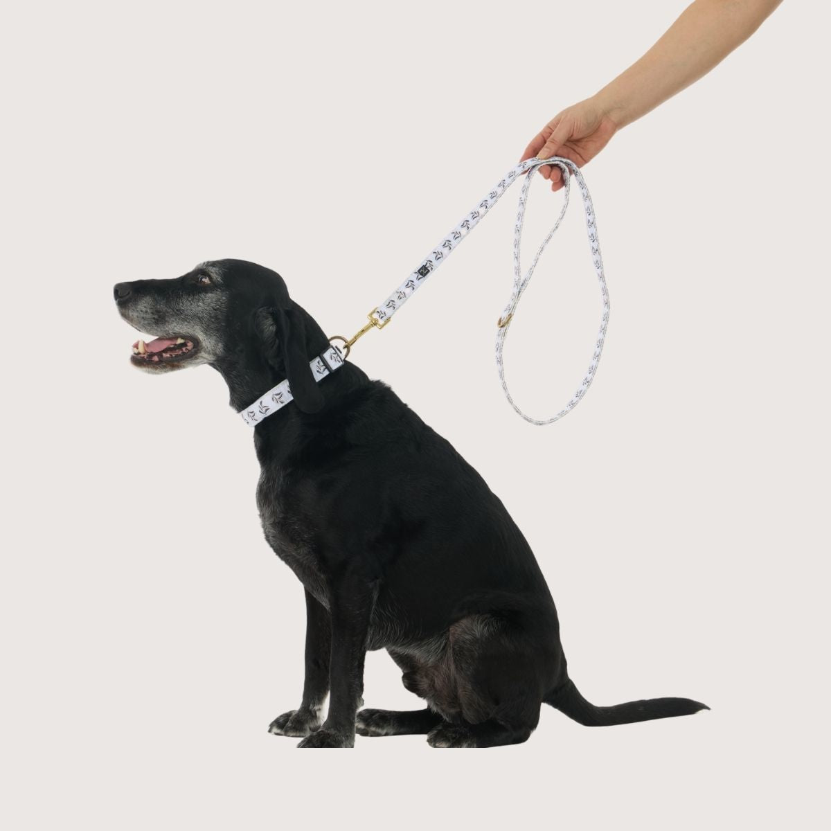 Hemp Dog Lead - Shadow Quartz Print