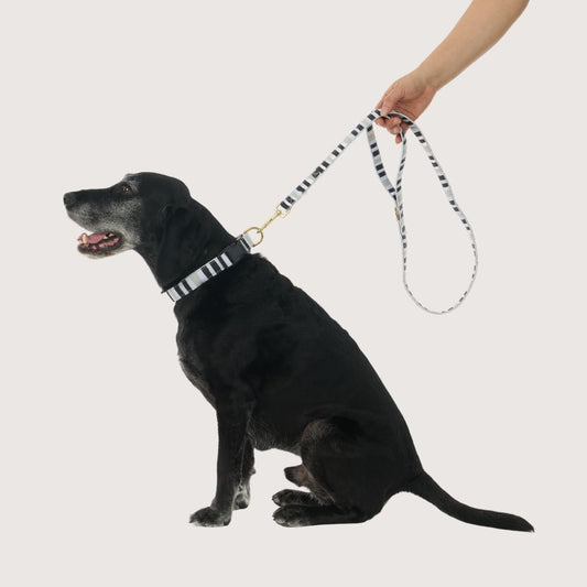 Hemp Dog Lead - Pebble Black Brush Stroke Print
