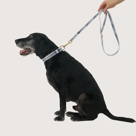Hemp Dog Lead - Black Wave Print