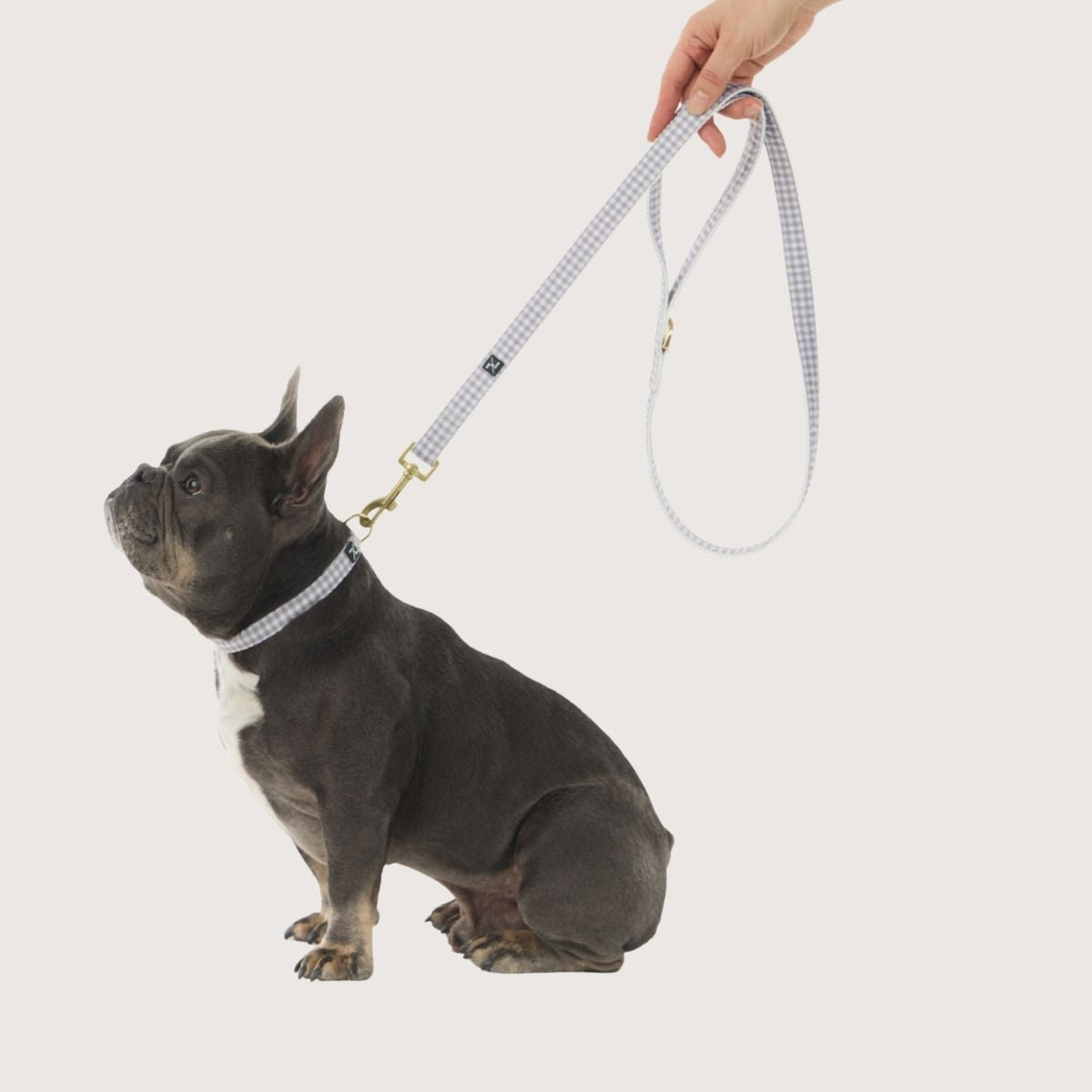 Leads