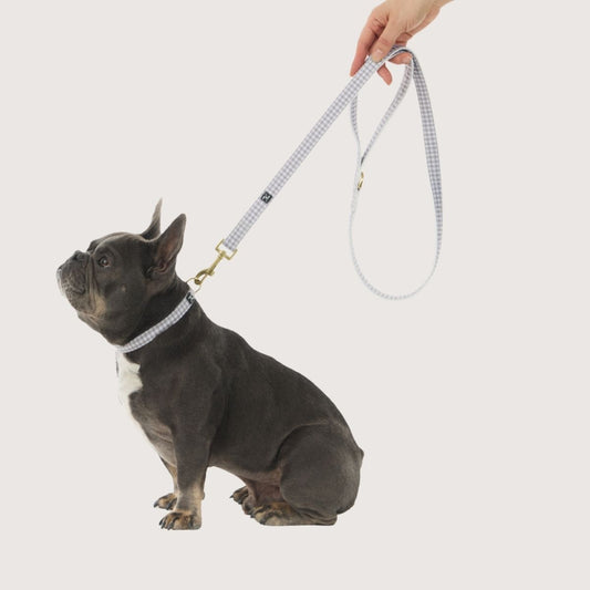 Hemp Dog Lead - Mocha Gingham Print