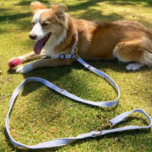 Hemp Dog Lead - Multi Function with Leather & Brass Fittings  - Mocha Wave Print