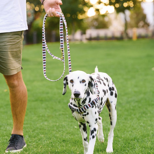 Hemp Dog Lead - Multi Function with Leather & Brass Fittings - Black/ Cocoa Artisan Print