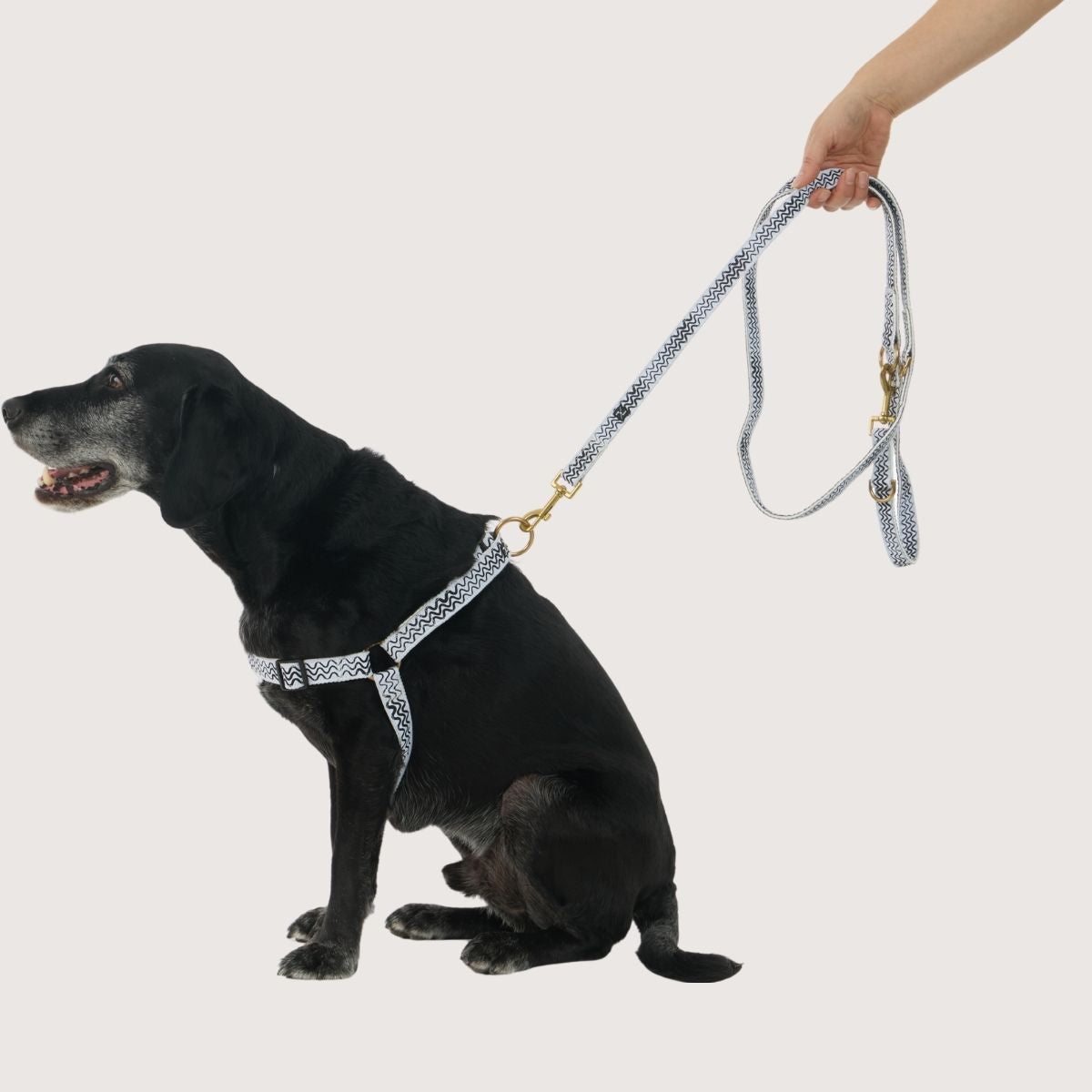 Hemp Dog Lead - Multi Function with Leather & Brass Fittings  - Black Wave